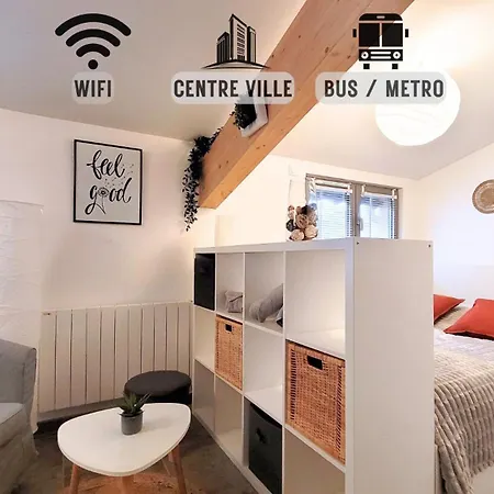 Cosy Mansarde Hyper Centre Apartment Villeurbanne